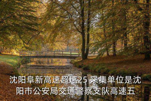 沈陽(yáng)阜新高速超速25 采集單位是沈陽(yáng)市公安局交通警察支隊(duì)高速五