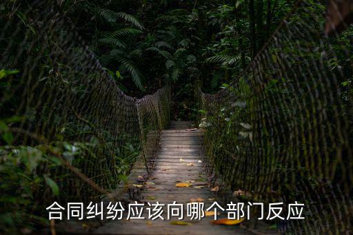合同糾紛應(yīng)該向哪個(gè)部門反應(yīng)