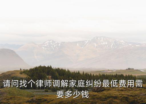 請問找個律師調(diào)解家庭糾紛最低費用需要多少錢