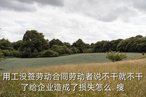無勞動合同工人說不干就不干，用工沒簽勞動合同勞動者說不干就不干了給企業(yè)造成了損失怎么  搜