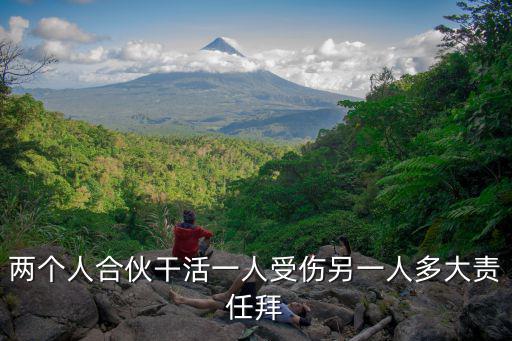 兩個(gè)人合伙干活一人受傷另一人多大責(zé)任拜