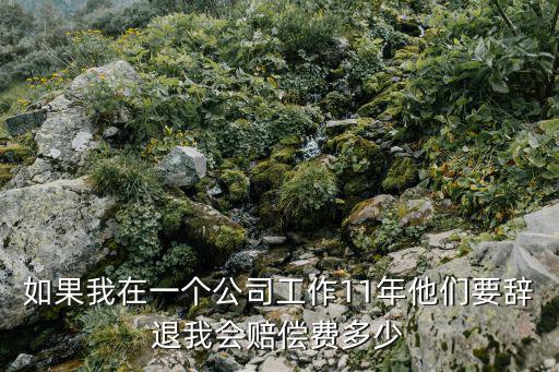 如果我在一個(gè)公司工作11年他們要辭退我會(huì)賠償費(fèi)多少