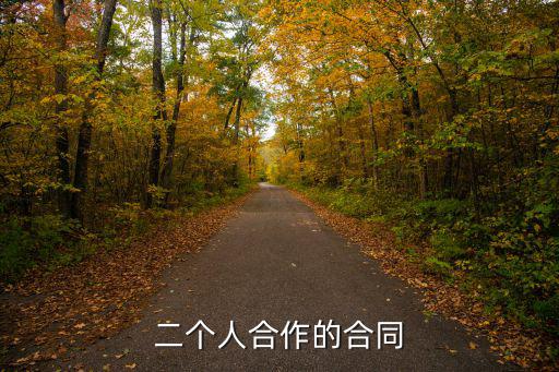 二個人合作的合同