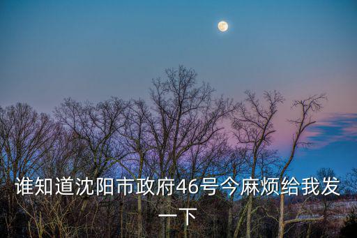 誰知道沈陽市政府46號今麻煩給我發(fā)一下