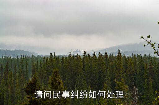 請問民事糾紛如何處理