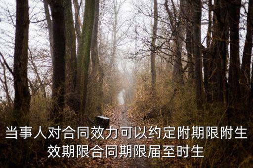 當(dāng)事人對(duì)合同效力可以約定附期限附生效期限合同期限屆至?xí)r生