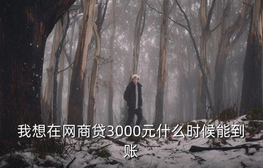 私人借3000一分鐘到賬，愛學(xué)貸申請(qǐng)貸款3000元需要多長(zhǎng)時(shí)間到賬