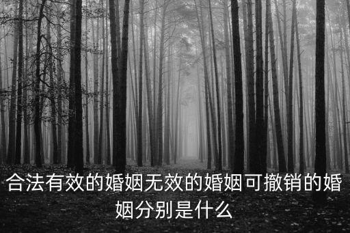 合法有效的婚姻無效的婚姻可撤銷的婚姻分別是什么