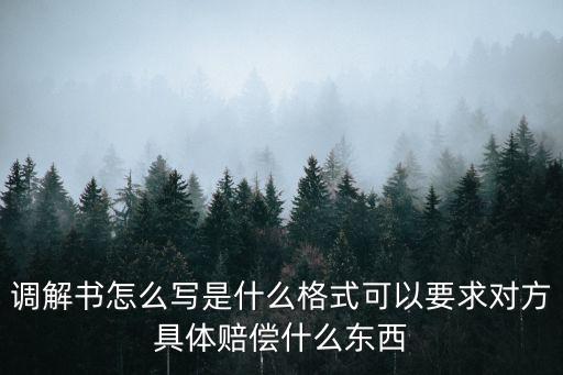 調(diào)解書怎么寫民事糾紛雙方，民事糾紛調(diào)解記錄怎樣寫