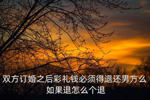 雙方訂婚之后彩禮錢必須得退還男方么 如果退怎么個退