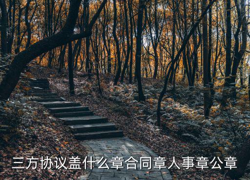 三方協(xié)議蓋什么章合同章人事章公章