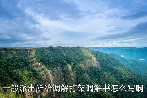一般派出所給調(diào)解打架調(diào)解書(shū)怎么寫(xiě)啊