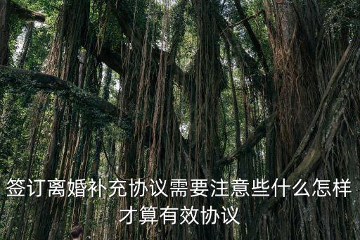 簽訂離婚補(bǔ)充協(xié)議需要注意些什么怎樣才算有效協(xié)議
