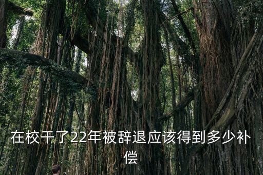 在校干了22年被辭退應該得到多少補償