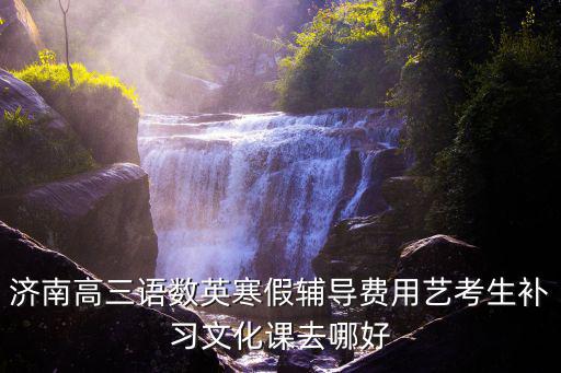濟(jì)南高三語數(shù)英寒假輔導(dǎo)費(fèi)用藝考生補(bǔ)習(xí)文化課去哪好