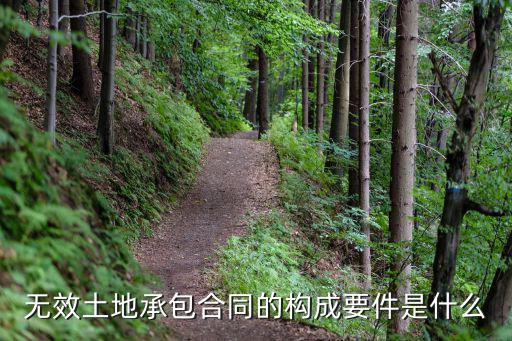 無效合同的構(gòu)成條件和處理，無效土地承包合同的構(gòu)成要件是什么