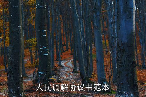 人民調(diào)解協(xié)議書(shū)范本