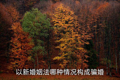 以新婚姻法哪種情況構(gòu)成騙婚