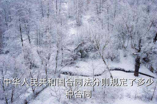 中華人民共和國合同法分則規(guī)定了多少種合同