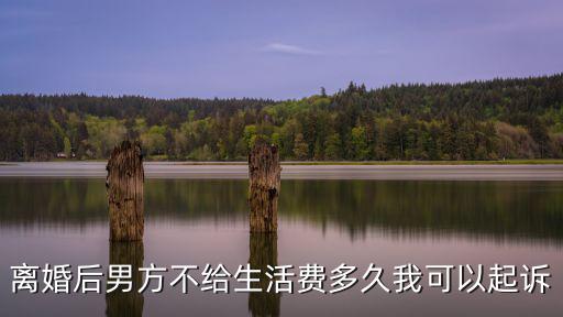 離婚后男方不給生活費多久我可以起訴