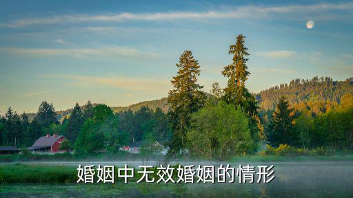 婚姻中無(wú)效婚姻的情形