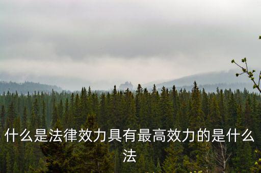 法律效力最高的是什么法，在我國的法律體系中具有最高法律效力的是