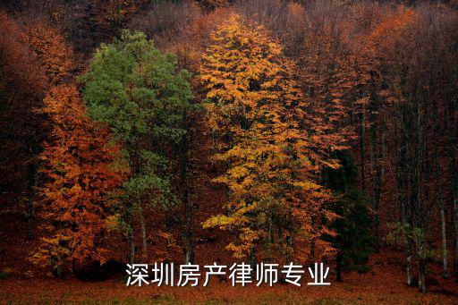 深圳房產(chǎn)律師專業(yè)