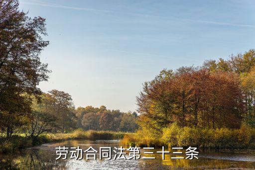 勞動(dòng)合同法第三十三條