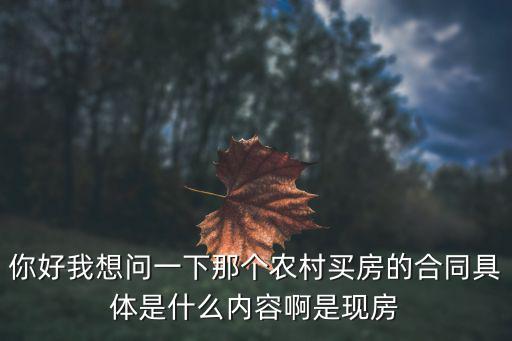 你好我想問(wèn)一下那個(gè)農(nóng)村買(mǎi)房的合同具體是什么內(nèi)容啊是現(xiàn)房
