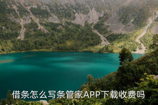 電子欠條模板，欠條怎么寫的最好有圖片
