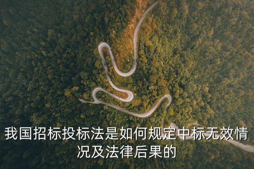 我國(guó)招標(biāo)投標(biāo)法是如何規(guī)定中標(biāo)無效情況及法律后果的