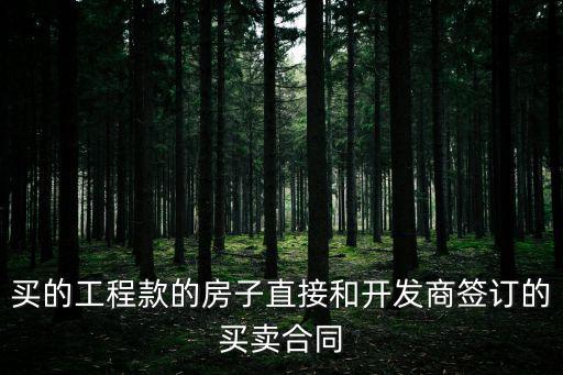 工抵房協(xié)議與房屋買賣合同，買的工程款的房子直接和開發(fā)商簽訂的買賣合同