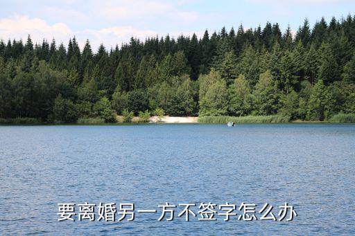 要離婚另一方不簽字怎么辦