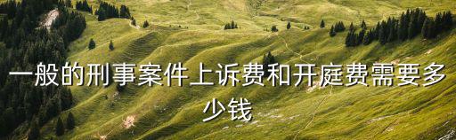 一般的刑事案件上訴費和開庭費需要多少錢