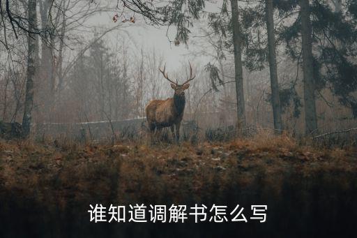 誰知道調(diào)解書怎么寫
