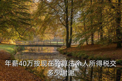 年薪40萬按現(xiàn)在的算法個人所得稅交多少謝謝