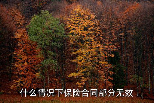 何種情形下合同無效起訴，什么情況下保險(xiǎn)合同部分無效