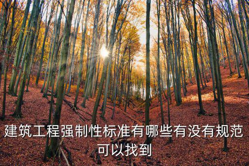 建筑工程強(qiáng)制性標(biāo)準(zhǔn)有哪些有沒(méi)有規(guī)范可以找到