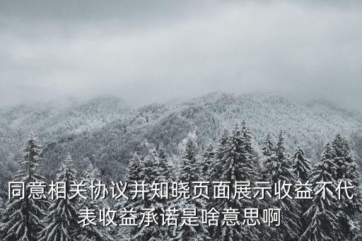 同意相關(guān)協(xié)議，同意相關(guān)協(xié)議并知曉頁面展示收益不代表收益承諾是啥意思啊