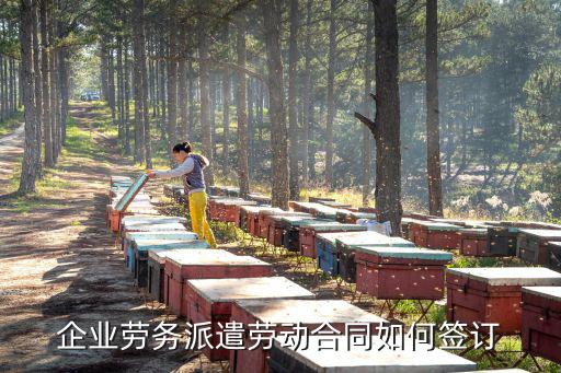 正規(guī)勞務(wù)合同怎么簽的，勞動(dòng)合同怎么簽
