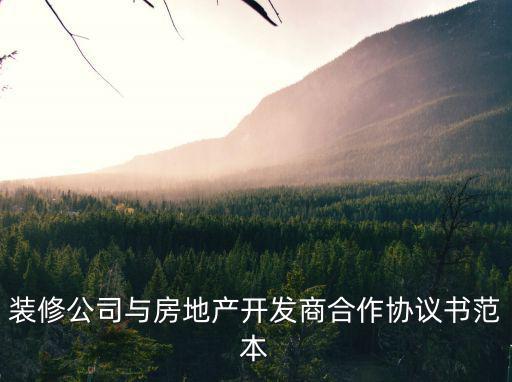裝修公司與房地產(chǎn)開(kāi)發(fā)商合作協(xié)議書(shū)范本