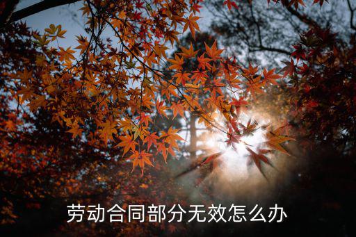 合同部分條款無(wú)效，勞動(dòng)合同部分無(wú)效怎么辦