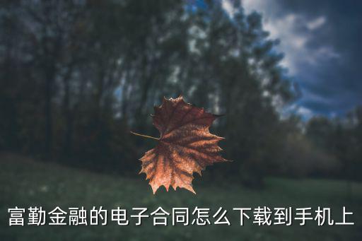 電子版借款合同怎么弄到手機上，自己能打印生源地借款合同嗎