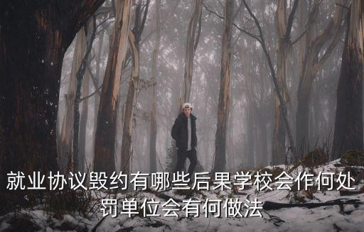就業(yè)協(xié)議毀約有哪些后果學校會作何處罰單位會有何做法