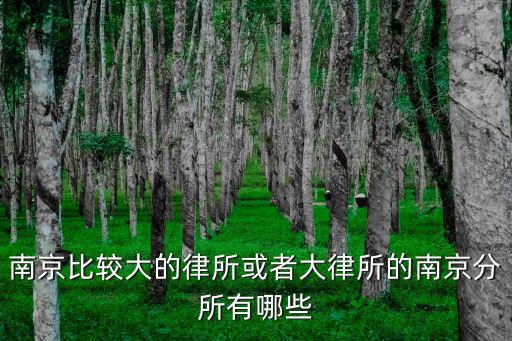 南京比較大的律所或者大律所的南京分所有哪些