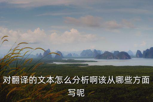政治文本翻譯方法與策略，政治翻譯難在哪