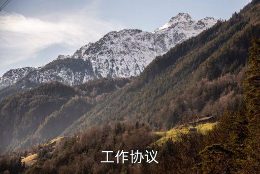 簡單的工作協(xié)議書怎么寫，工作協(xié)議