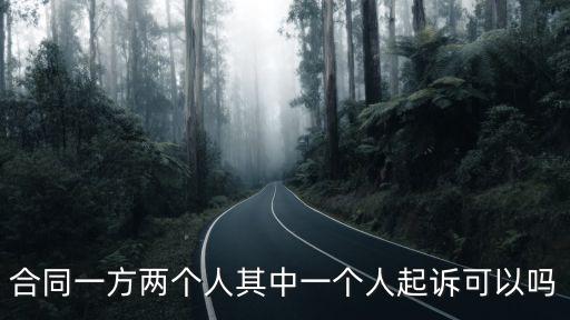 合同甲方二人只有一人起訴，合同一方兩個(gè)人其中一個(gè)人起訴可以嗎