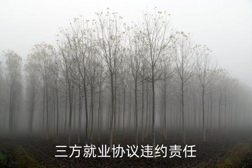 三方就業(yè)協(xié)議違約責(zé)任
