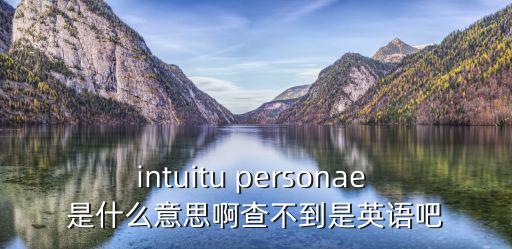 intuitu personae 是什么意思啊查不到是英語吧